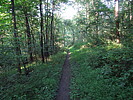 photo thumbnail #8
