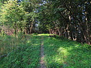 photo thumbnail #14