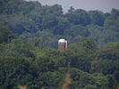 photo of comment