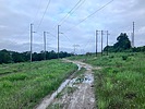photo thumbnail #14