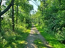 photo thumbnail #2