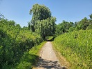 photo thumbnail #15