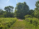 photo thumbnail #3