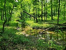 photo thumbnail #13