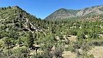 2025-07-05 :3: Elden Loop :: chumley