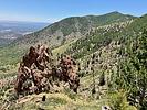 photo thumbnail #6