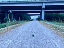 photo thumbnail #2