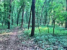 photo thumbnail #8