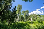 photo thumbnail #15