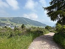 photo thumbnail #2
