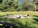 photo thumbnail #10