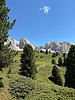 photo thumbnail #12