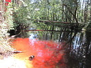 photo of comment