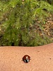 photo thumbnail #15