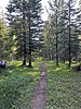 photo thumbnail #10