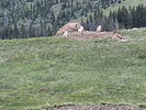 2025-06-28 :3: Greenhorn Mountain - Pueblo COHP :: DixieFlyer