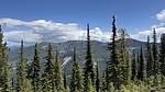 photo of comment