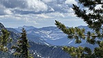 photo of comment