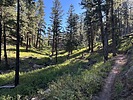 photo thumbnail #3