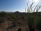 photo thumbnail #9