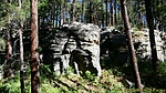 photo thumbnail #3