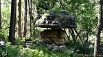 photo thumbnail #8