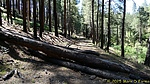 photo thumbnail #11
