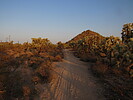 photo thumbnail #2