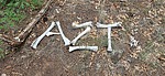 photo thumbnail #11