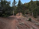 photo thumbnail #5