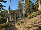 photo thumbnail #10