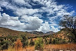 photo thumbnail #12