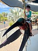 photo thumbnail #7