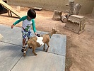 photo thumbnail #8