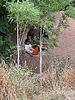 photo thumbnail #9