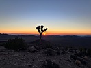photo thumbnail #13