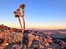 photo thumbnail #15
