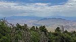 photo thumbnail #8