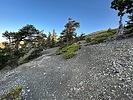 photo thumbnail #11