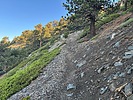 photo thumbnail #10