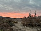photo thumbnail #2