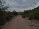 photo thumbnail #12