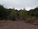 photo thumbnail #15