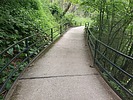 photo thumbnail #12