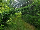 photo thumbnail #4