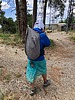 photo of comment