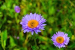 photo thumbnail #6