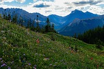 photo thumbnail #13