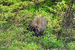 2025-07-12 :: Mount Indefatigable :: Lucyan