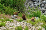 2025-07-13 :: Bow River Loop :: Lucyan